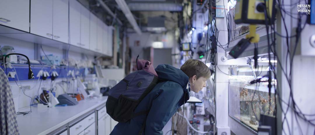 meet_the_makers_ep09.mp4-2160p.00_00_35_02.Standbild005